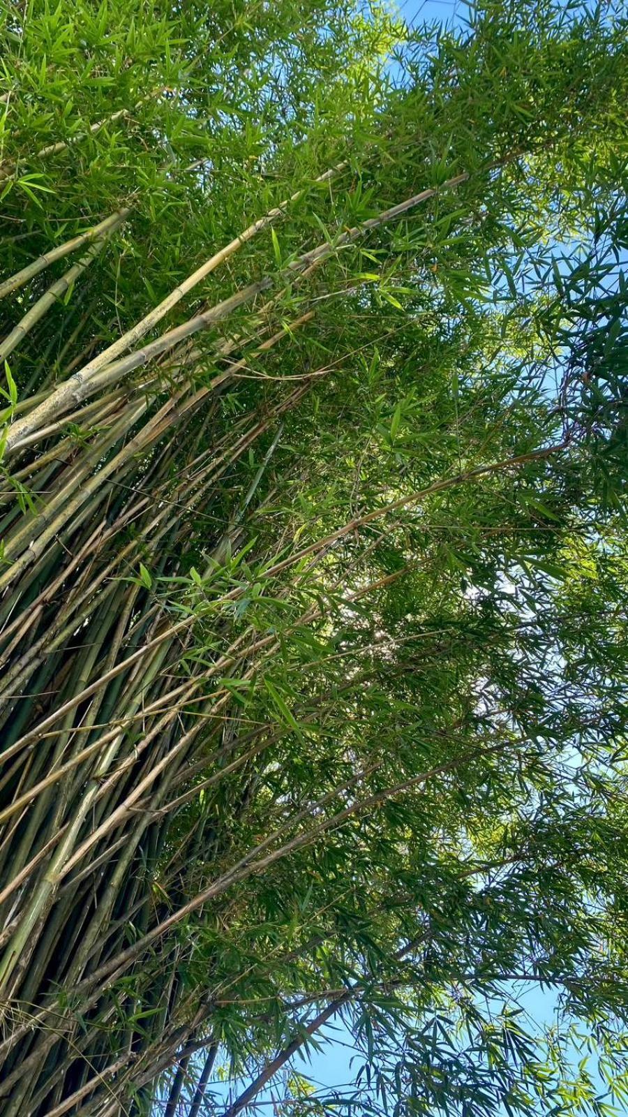 Pousada Dos Sonhos - Timbe Do Sul Bagian luar foto